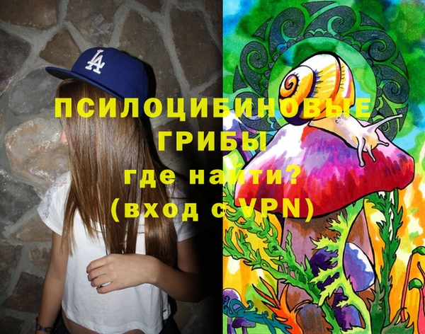 крисы Вязники