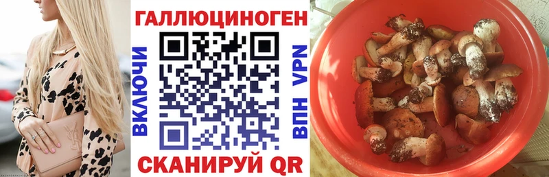 купить Пикалёво Галлюциногенные грибы Magic Shrooms